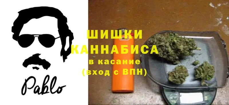 где можно купить наркотик  Порхов  Марихуана SATIVA & INDICA 